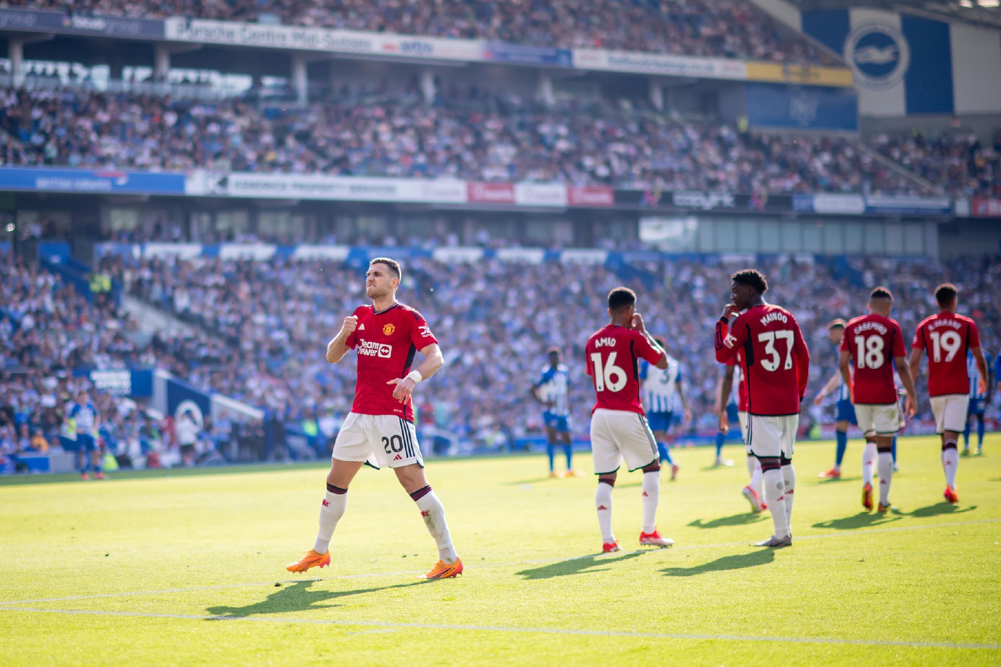 结合孔蒂染 结合孔蒂染